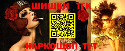 дживик Моздок